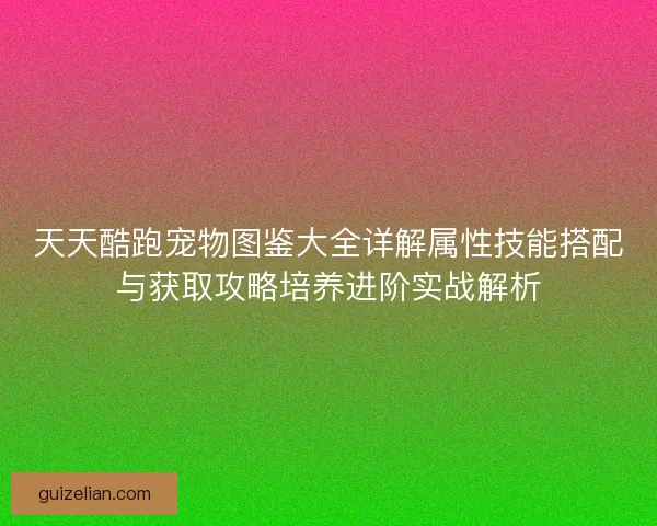 天天酷跑宠物图鉴大全详解属性技能搭配与获取攻略培养进阶实战解析