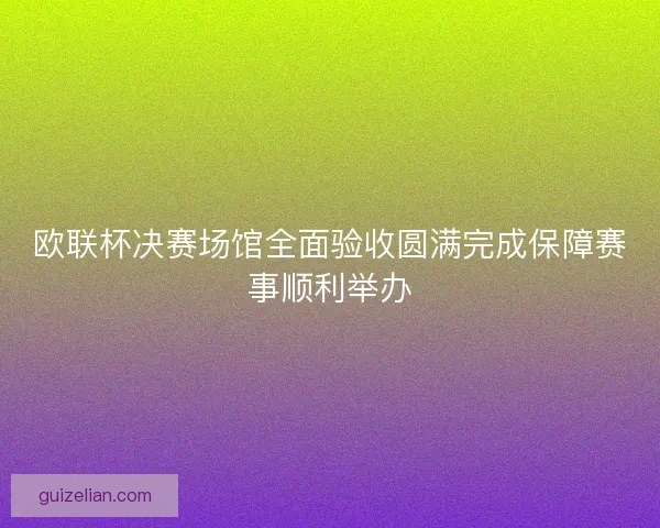 欧联杯决赛场馆全面验收圆满完成保障赛事顺利举办 欧联杯决赛场馆全面验收圆满完成保障赛事顺利举办